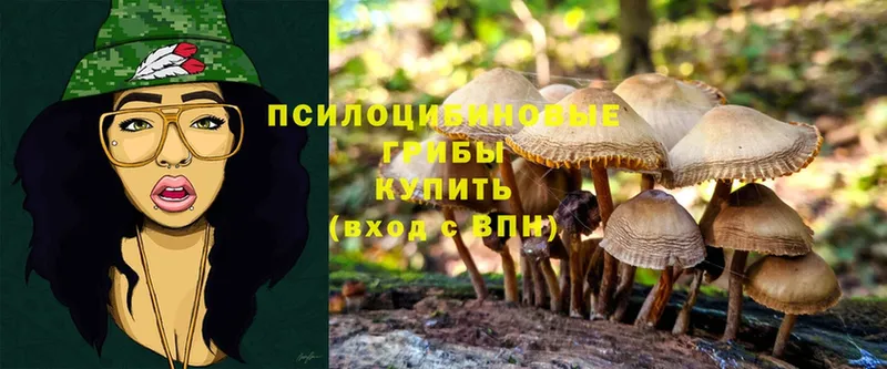 Псилоцибиновые грибы Magic Shrooms  Белая Холуница 